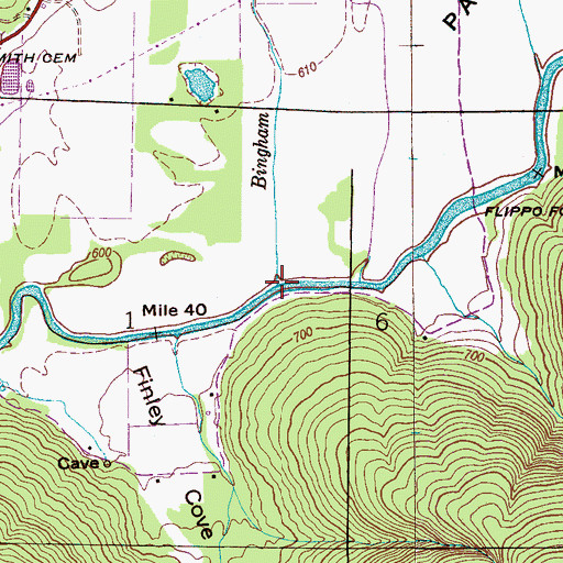 Topographic Map of Bingham Creek, AL