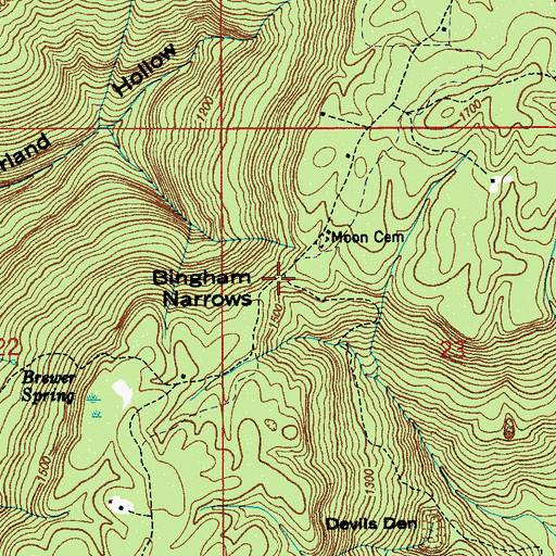 Topographic Map of Bingham Narrows, AL