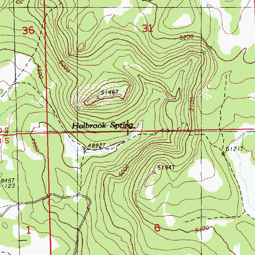 Topographic Map of Holbrook Spring, OR