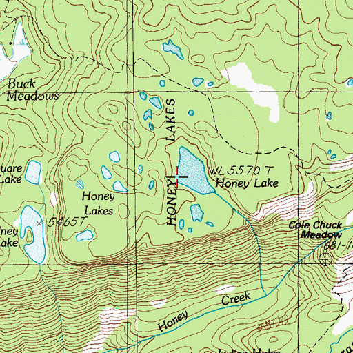 Topographic Map of Honey Lake, OR