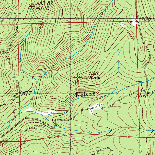 Topographic Map of Horn Butte, OR