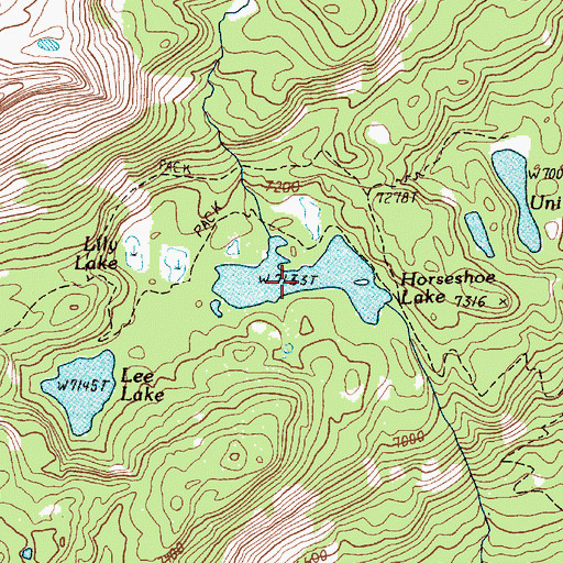 Topographic Map of Horseshoe Lake, OR
