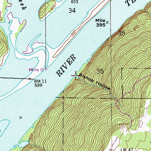 Topographic Map of Bishop Hollow, AL