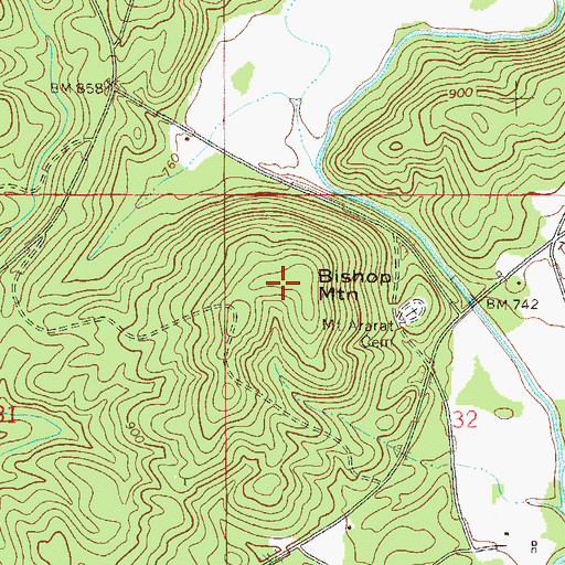 Topographic Map of Bishop Mountain, AL