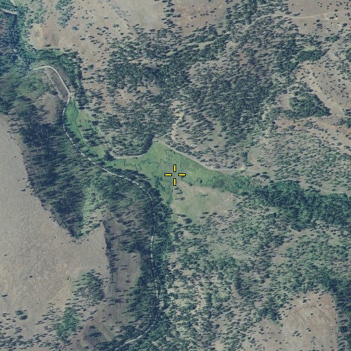 Aerial/Satellite Image of Howard Meadows, OR