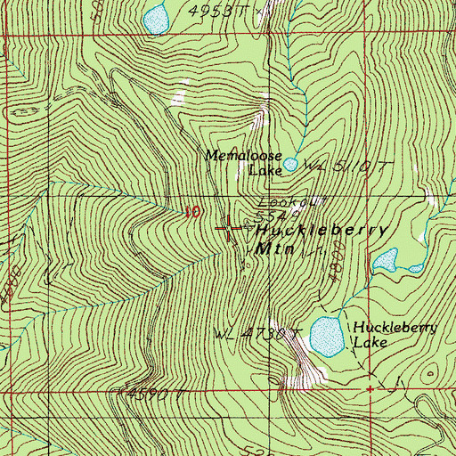 Topographic Map of Huckleberry Mountain, OR