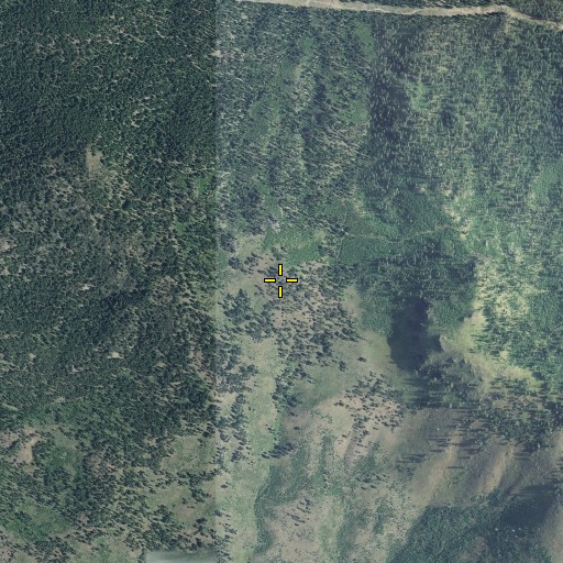 Aerial/Satellite Image of Huckleberry Mountain, OR