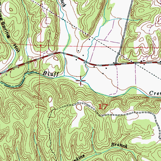 Topographic Map of Bitter Branch, AL
