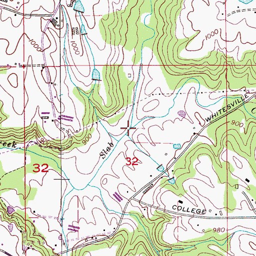 Topographic Map of Bitty Branch, AL
