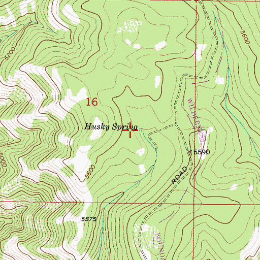 Topographic Map of Husky Spring, OR
