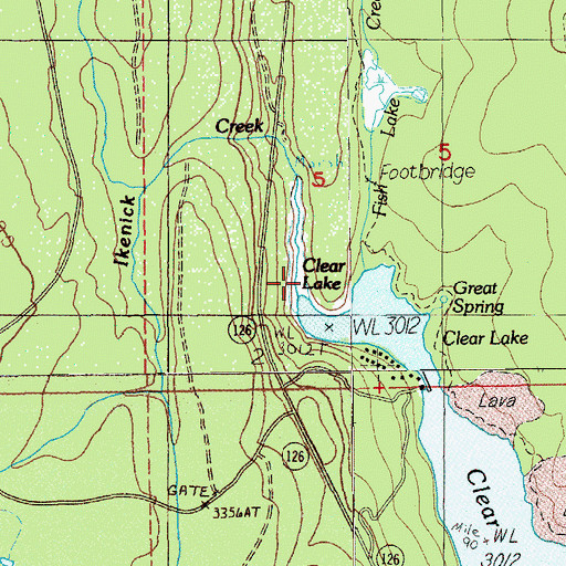 Topographic Map of Ikenick Creek, OR