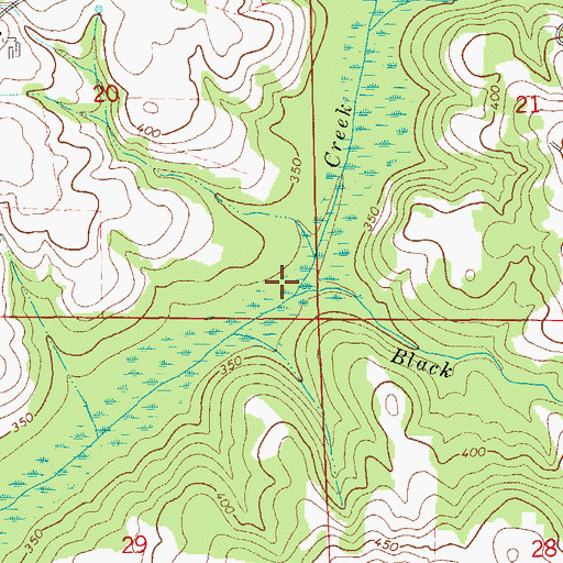 Topographic Map of Black Branch, AL