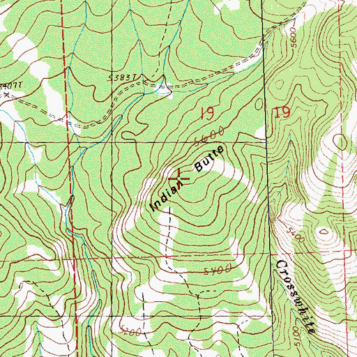 Topographic Map of Indian Butte, OR