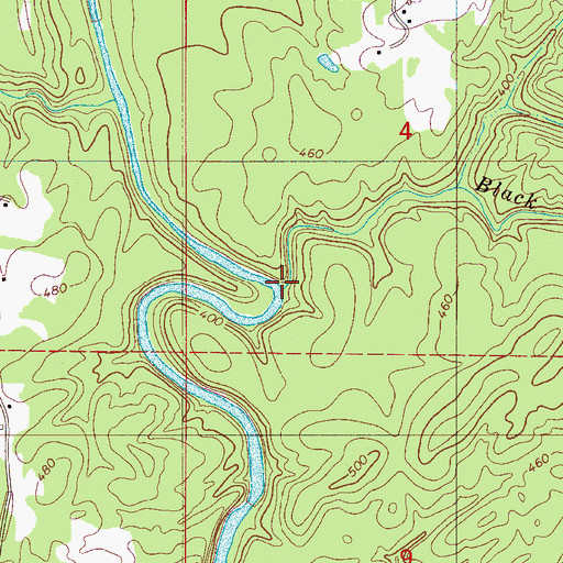 Topographic Map of Black Branch, AL