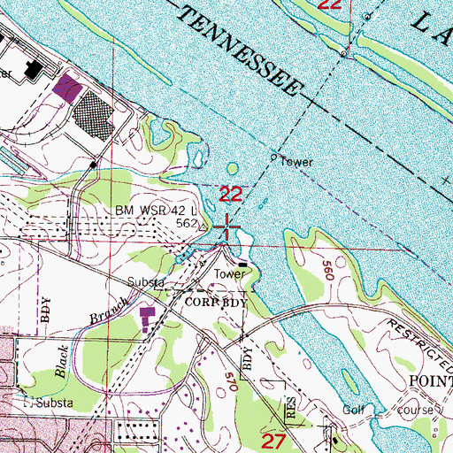 Topographic Map of Black Branch, AL