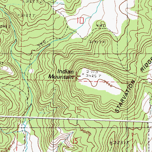 Topographic Map of Indian Mountain, OR