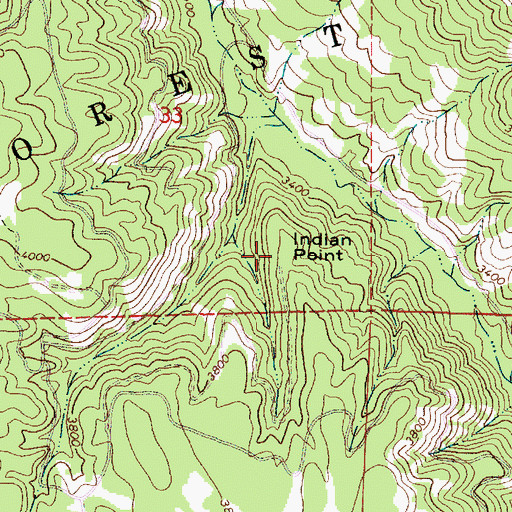 Topographic Map of Indian Point, OR