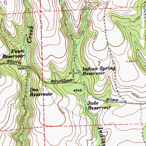 Topographic Map of Indian Spring Reservoir, OR