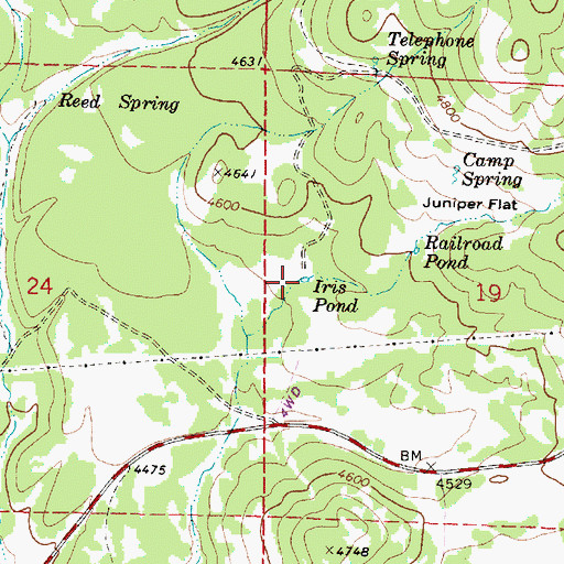 Topographic Map of Iris Pond, OR