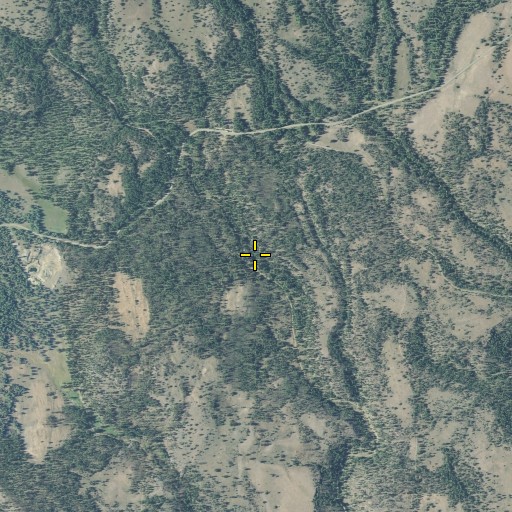 Aerial/Satellite Image of Izee Spring, OR