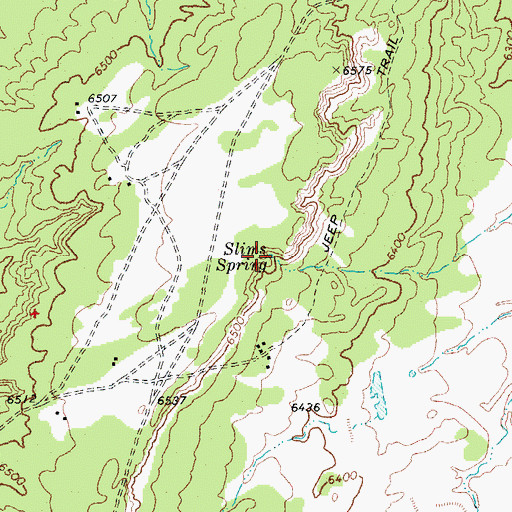 Topographic Map of Slims Spring, AZ