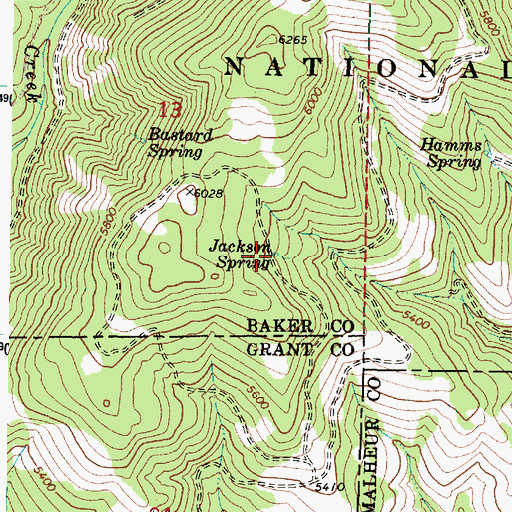 Topographic Map of Jackson Spring, OR