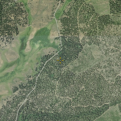 Aerial/Satellite Image of Jessie Spring, OR