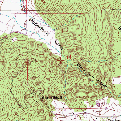 Topographic Map of Black Gum Hollow, AL