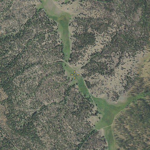 Aerial/Satellite Image of John Young Meadows, OR