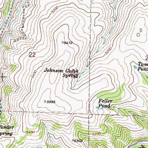 Topographic Map of Johnson Gulch Spring, OR