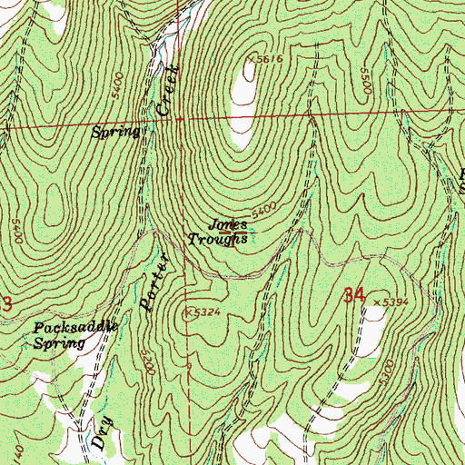 Topographic Map of Jones Troughs, OR