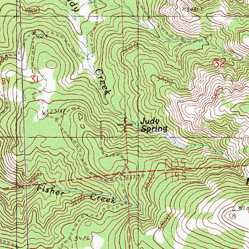 Topographic Map of Judy Spring, OR