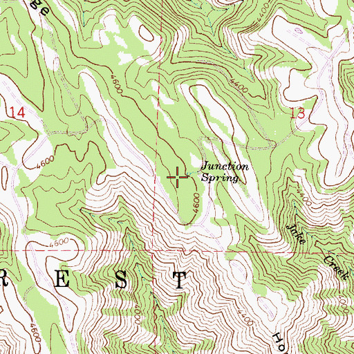 Topographic Map of Junction Spring, OR