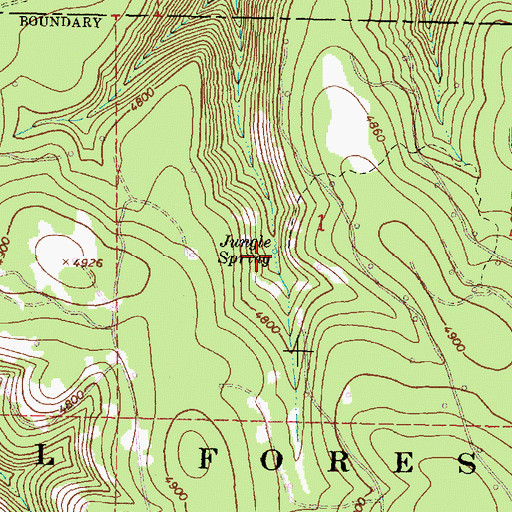 Topographic Map of Jungle Spring, OR