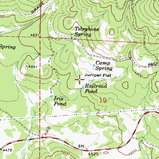 Topographic Map of Juniper Flat, OR