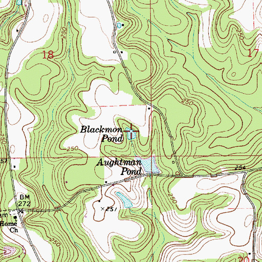 Topographic Map of Blackmon Pond, AL