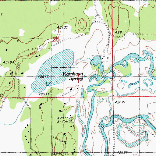 Topographic Map of Kamkaun Spring, OR