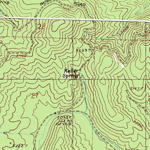 Topographic Map of Keller Spring, OR