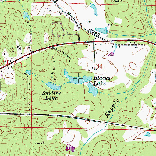 Topographic Map of Blacks Lake, AL