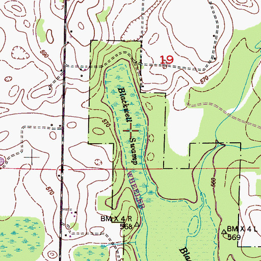 Topographic Map of Blackwell Swamp, AL