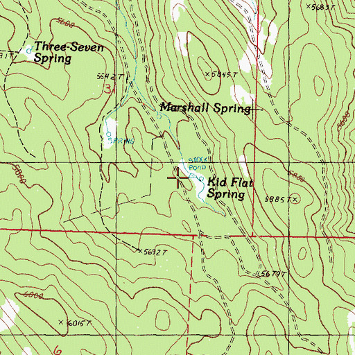 Topographic Map of Kid Flat Spring, OR