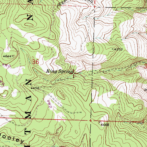 Topographic Map of King Spring, OR