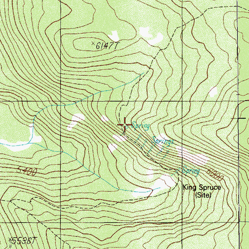 Topographic Map of King Spruce Trail, OR