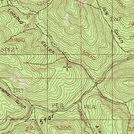 Topographic Map of Ladybug Gulch, OR