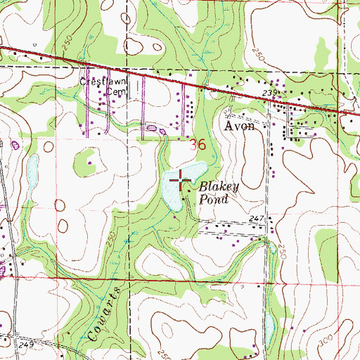 Topographic Map of Blakey Pond, AL