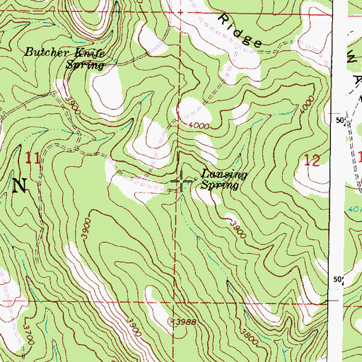 Topographic Map of Lansing Spring, OR