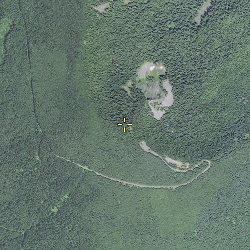 Aerial/Satellite Image of Larch Mountain, OR