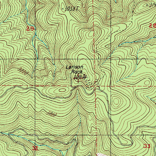 Topographic Map of Larison Rock, OR