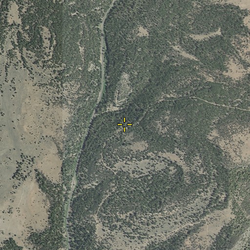 Aerial/Satellite Image of Larsen Spring, OR