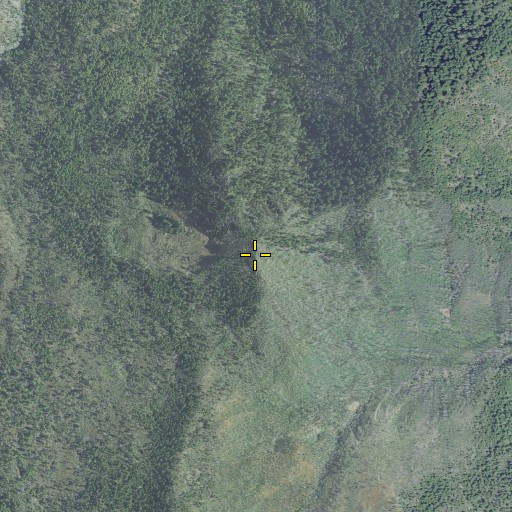 Aerial/Satellite Image of Lawson Butte, OR